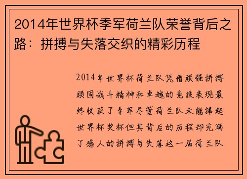 2014年世界杯季军荷兰队荣誉背后之路：拼搏与失落交织的精彩历程